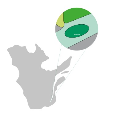regions-qc-grossistes-montreal